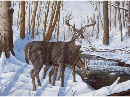 Paint by Number Kit - Winter Bliss