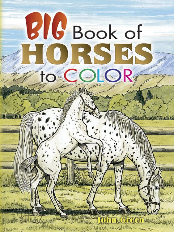 Big Book of Horses Colouring Book
