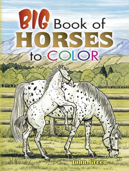Big Book of Horses Colouring Book