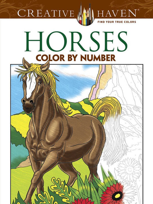 Horses Colour by Numbers Book