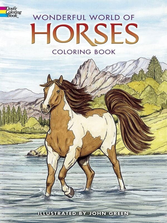 Wonderful World of Horses Colouring Book