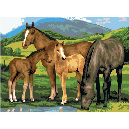Paint by Number 11" x 15" - Mares & Foals
