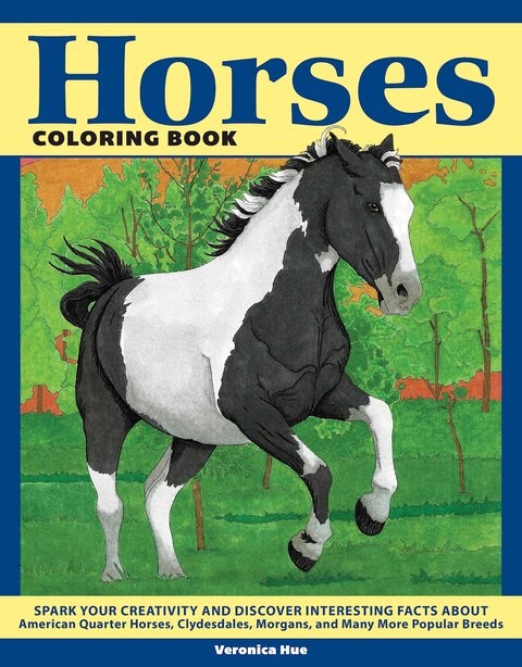 Horses Colouring Book
