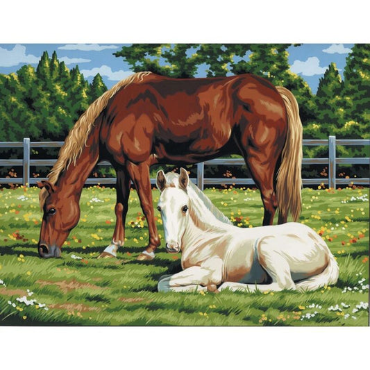 Artist Paint by Number 11" x 14" - Horses in Field