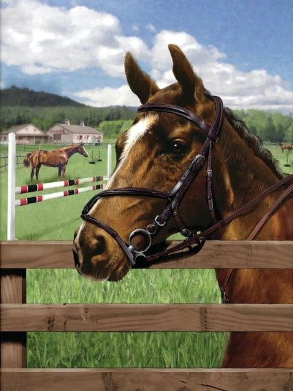 Paint by Number Kit 8.75" x 11.75" - Equine Paddock
