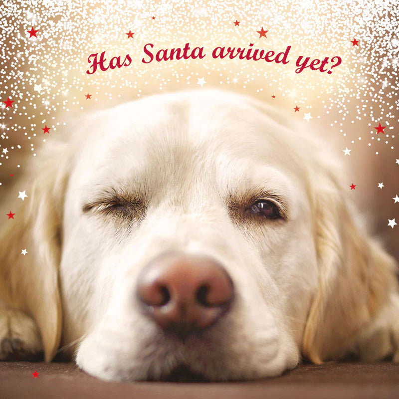 Waiting for Santa Christmas Cards - 10 pack