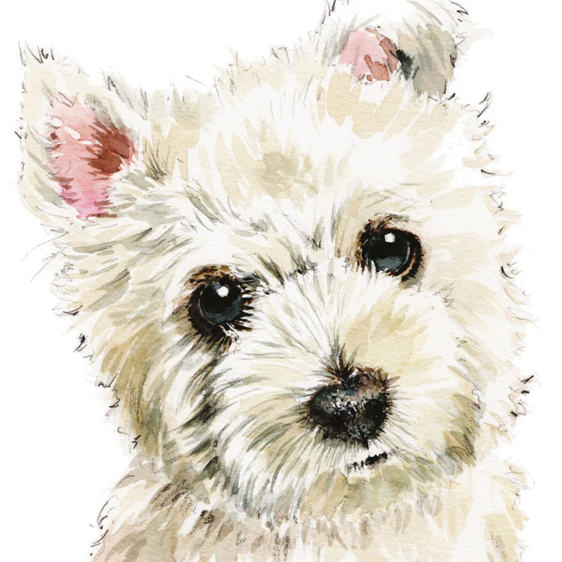 Westie Greeting Card