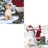 Santa's Friend Christmas Cards - Box of 40 Assorted