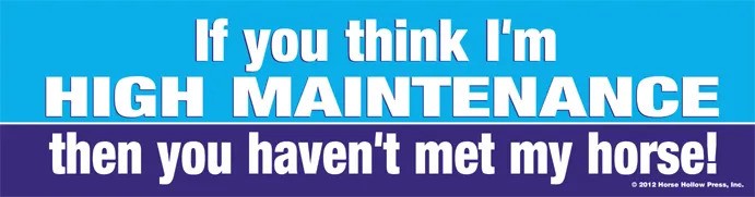 HHP Bumpersticker: High Maintenance