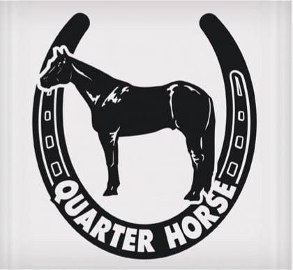 Quarter Horse Horseshoe Sticker