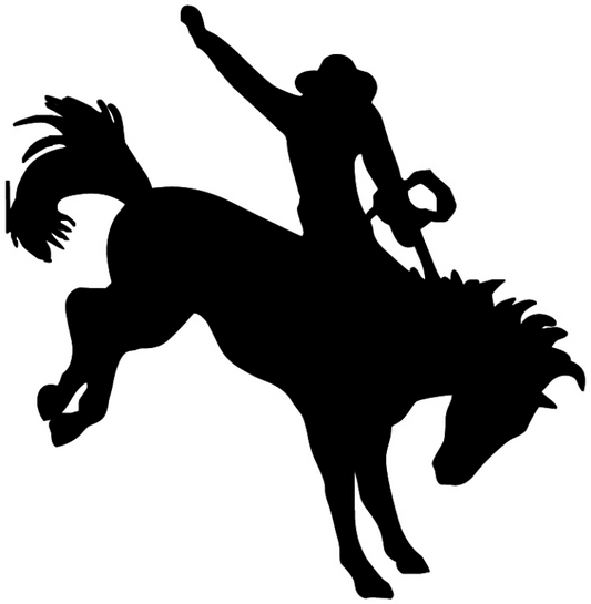 Bronco Rider Sticker
