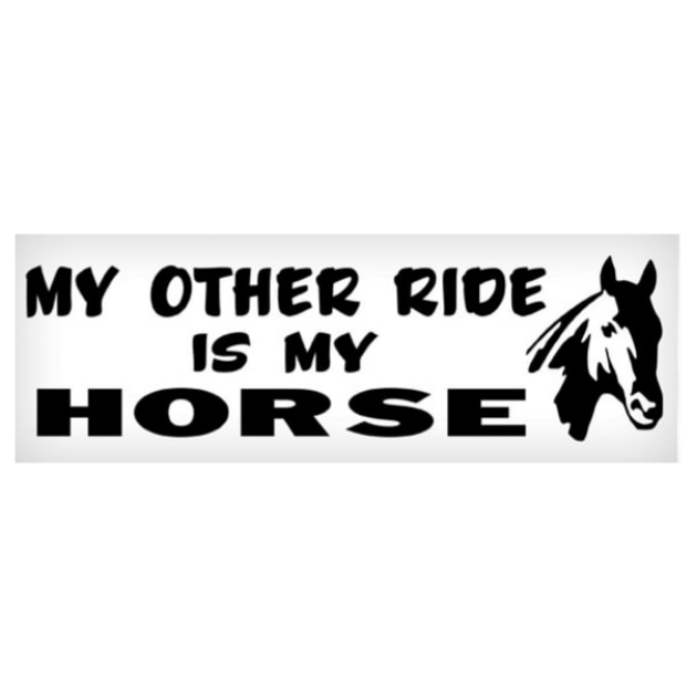 My Other Ride Is My Horse Sticker