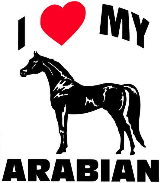 I Love My Arabian Sticker