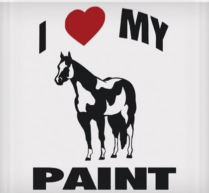 I Love My Paint Sticker