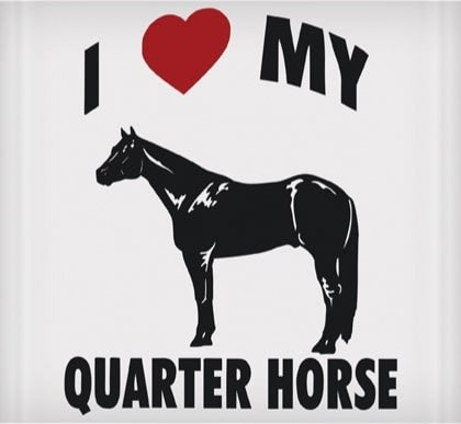 I Love My Quarter Horse Sticker