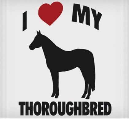 I Love My Thoroughbred Sticker