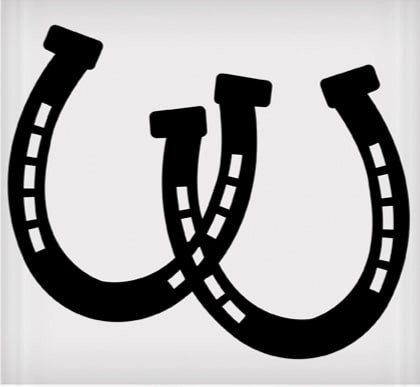 2 Horseshoes Sticker