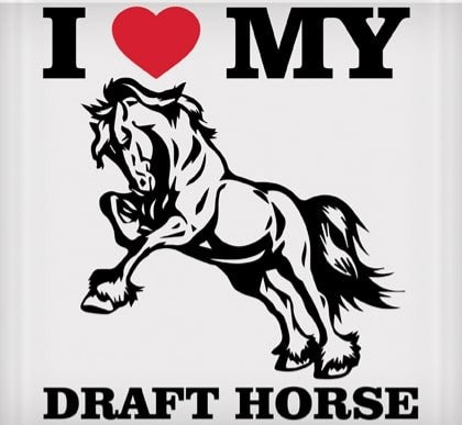 I Love My Draft Horse Rearing Sticker