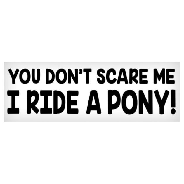 You Don't Scare Me, I Ride a Pony Sticker
