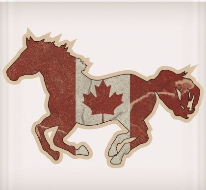 Canada Single Horse Sticker