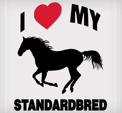 I Love My Standardbred Sticker