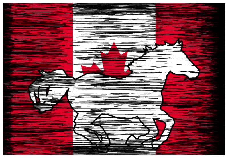 Canadian Flag Galloping Horse Sticker