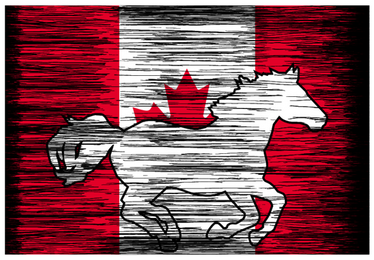 Canadian Flag Galloping Horse Sticker