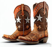 Cowboy Boots/Stars Sticker