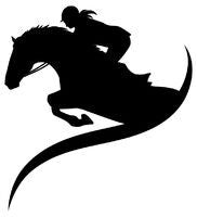 Jumper Silhouette Sticker