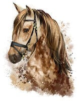 Grey Horse Head Sticker