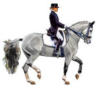 Dressage Grey Sticker