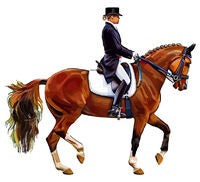 Dressage Bay Right Sticker