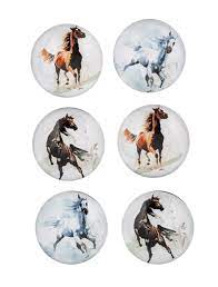 Wild Horse Magnet Set of 6
