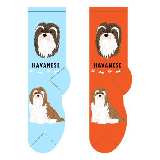 Foozys Crew Socks - Havanese