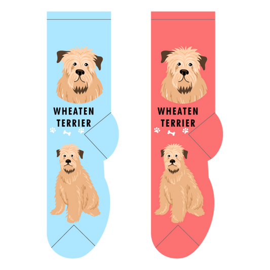 Foozys Crew Socks - Wheaten Terrier