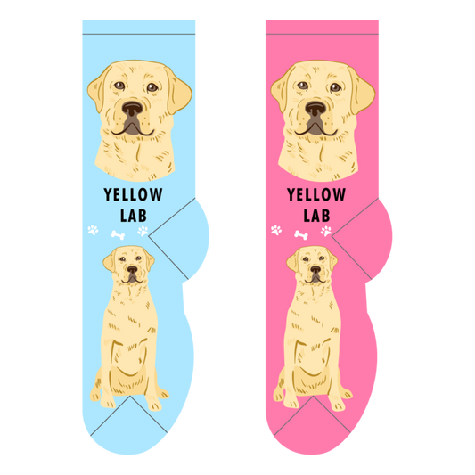 Foozys Crew Socks - Yellow Lab
