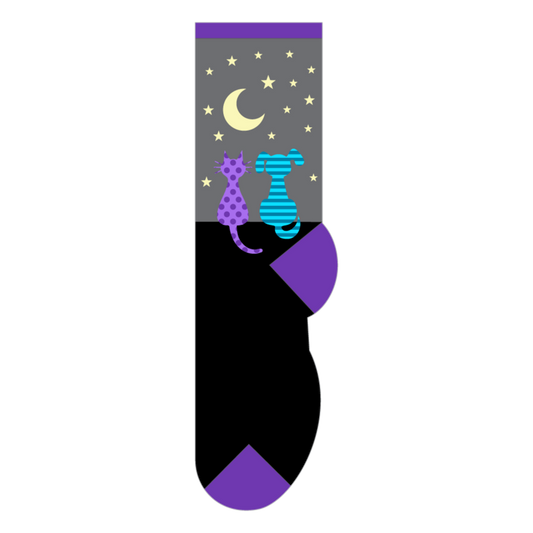 Foozys Kids Socks - Stargazing Cat & Dog