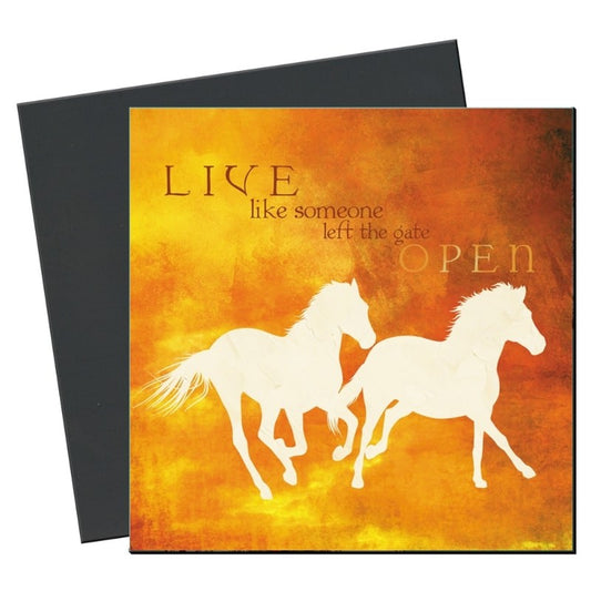 TF Eco Magnet - Gate Open