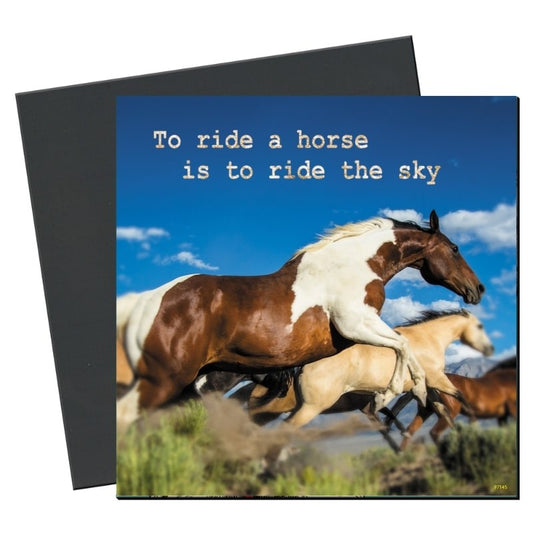 TF Eco Magnet - Ride The Sky