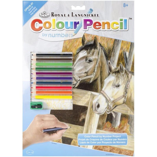 Pencil-by-Number 9" x 12" - Buck's Pal