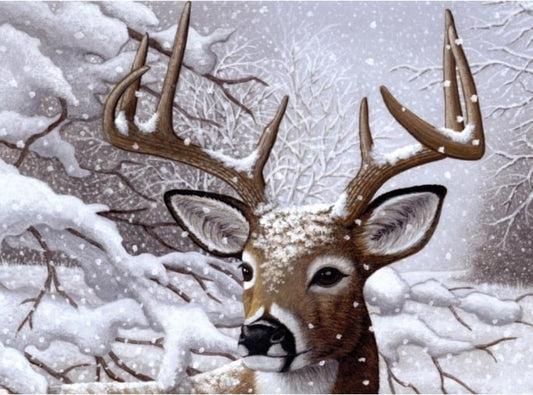 Paint by Number Kit 15.25" x 11.25" - Dancing Snow