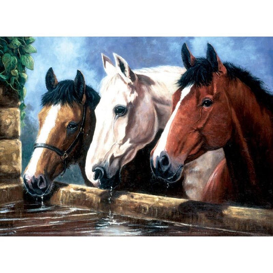 Paint by Number 11" x 15" - Three of a Kind