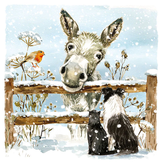 Donkey and Friends Christmas Cards - 10 Pack