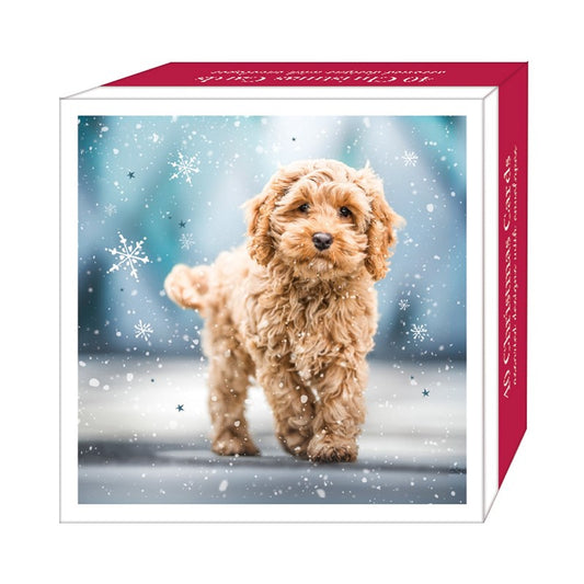 Christmas Pups Cards - Box 40