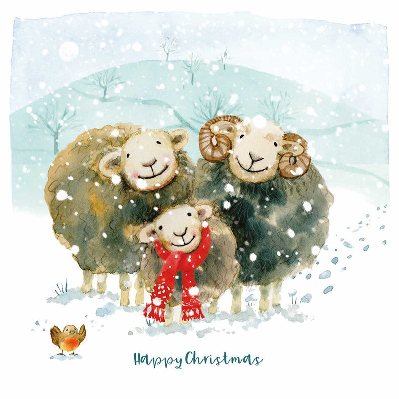 Huddling Herdwicks Christmas Cards - 10 Pack