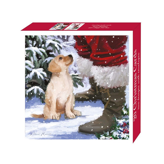 Santa's Friend Christmas Cards - Box of 40 Assorted