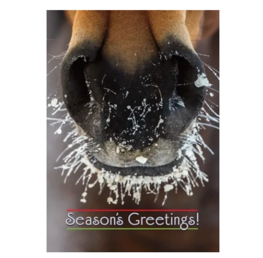 HHP Boxed XMAS Cards - Frosty Nose