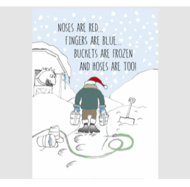 HHP Boxed XMAS Cards - Frozen Noses & Fingers