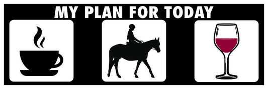 My Plan For Today Sticker