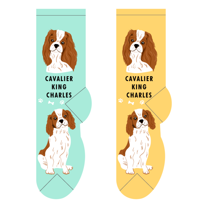 Foozys Crew Socks - Cavalier King Charles